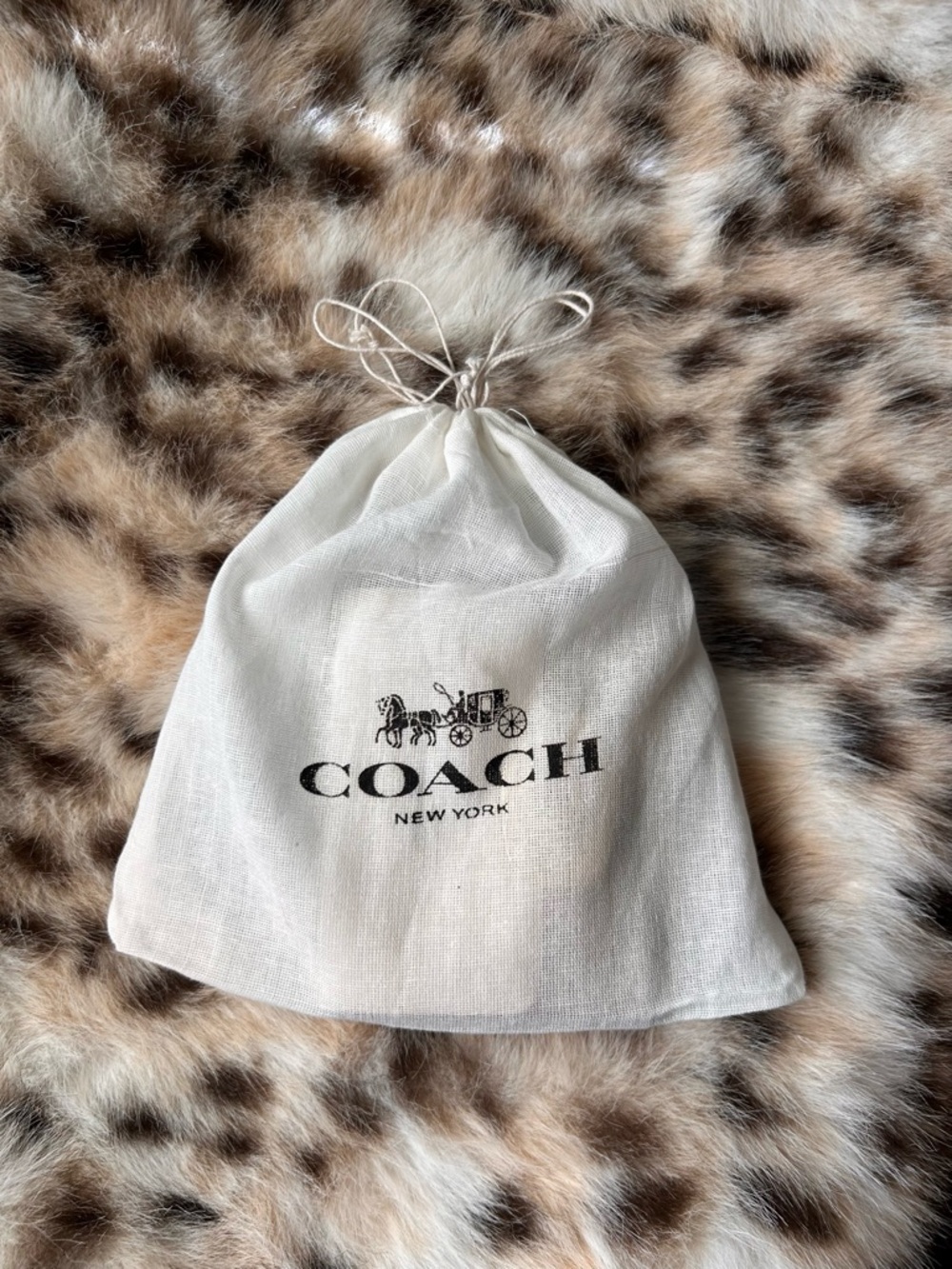 Coach Eliza Small Wallet in Signature Canvas CP255 in Gold/Light Khaki Chalk - Picture 14 of 14